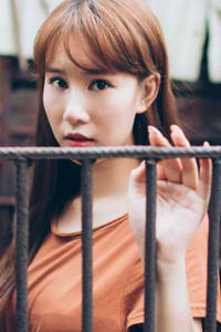 迷网追凶